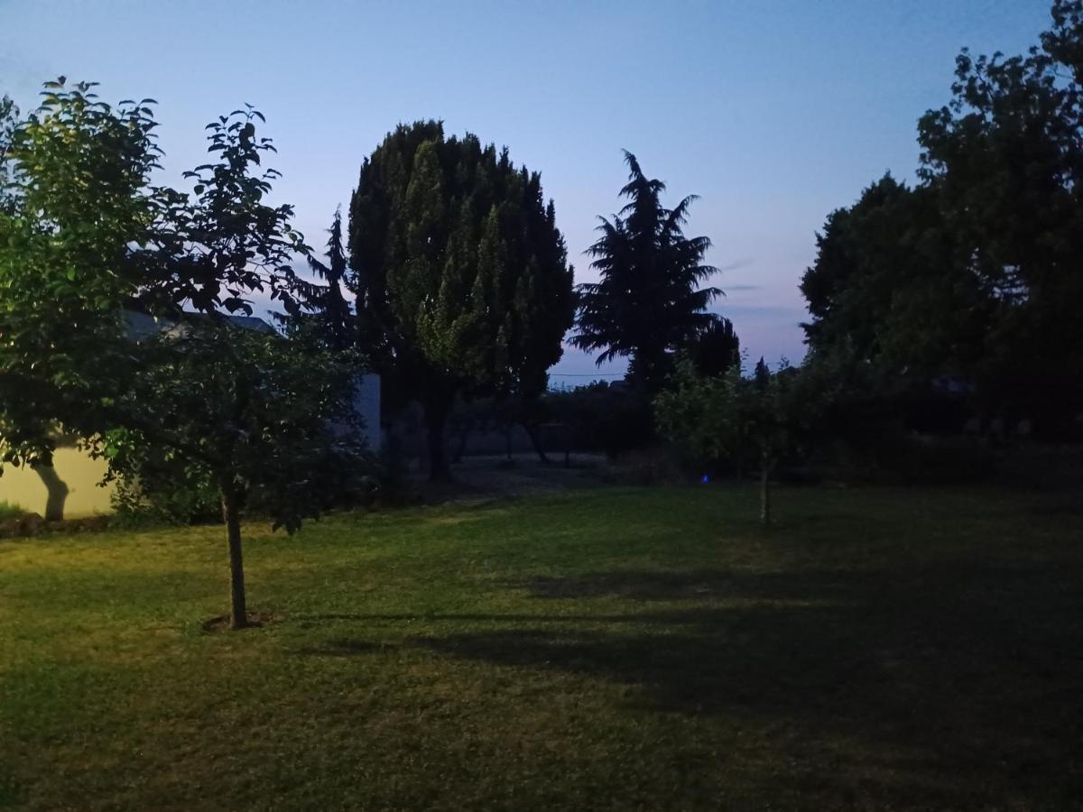 Gaestehaus Frevel Munstermaifeld Bagian luar foto